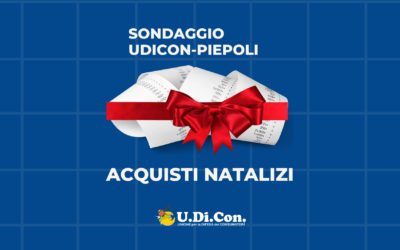 Indagine Udicon-Istituto Piepoli Natale 2024: i consumatori scelgono la consapevolezza tra tradizioni, negozi fisici e attenzione al budget